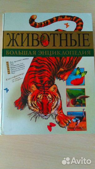 Детская энциклопедия