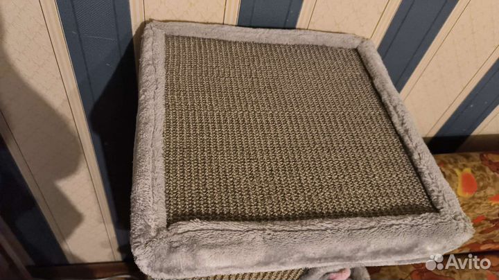 Дом когтеточка