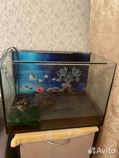 Аквариум на 200л