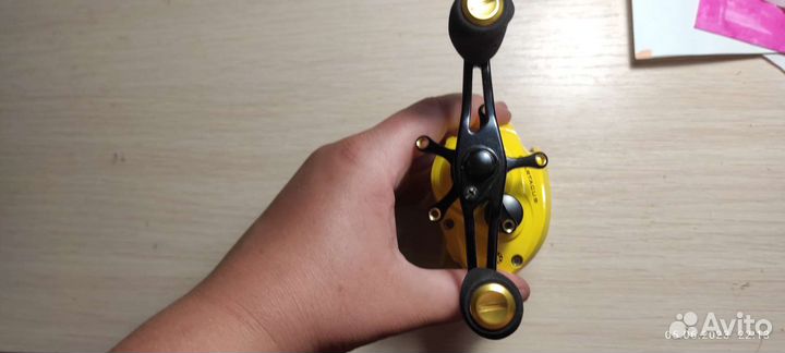 Катушка мультипликаторная