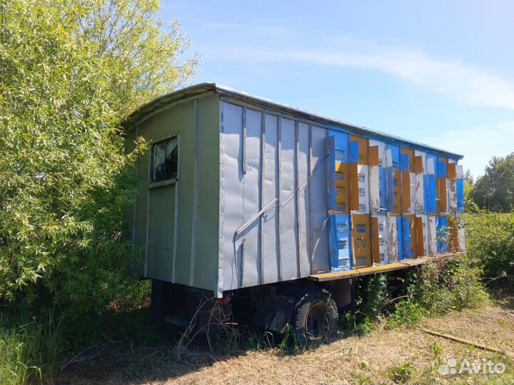 Пчелопавильон