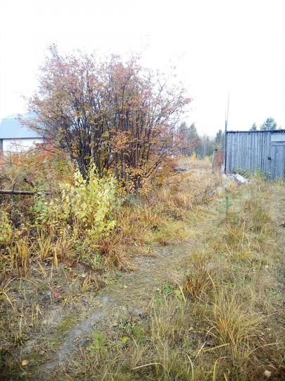 Участок 24 сот. (СНТ, ДНП)