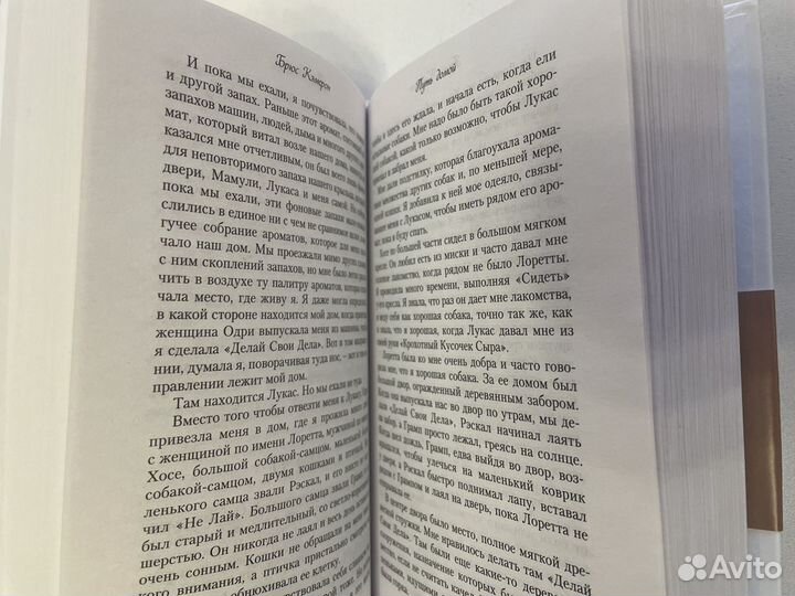 Книга «Путь домой» Брюс Кэмерон