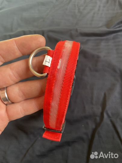 Ошейник с подсветкой