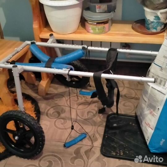 Ходунки для собак