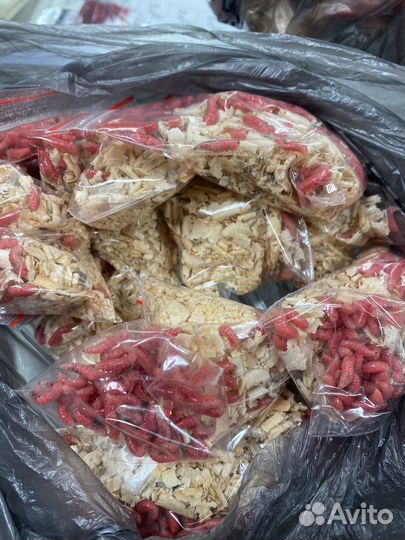 Мормыш, мотыль, опарыш