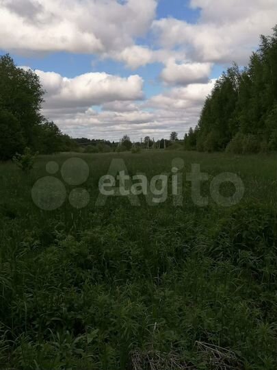 Участок 2,56 га (личное подсобное хозяйство (лпх))