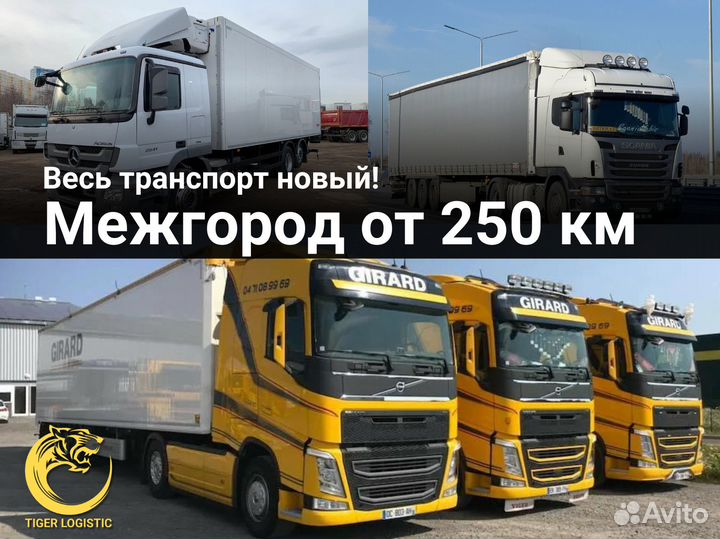 Грузоперевозки 10 тонн