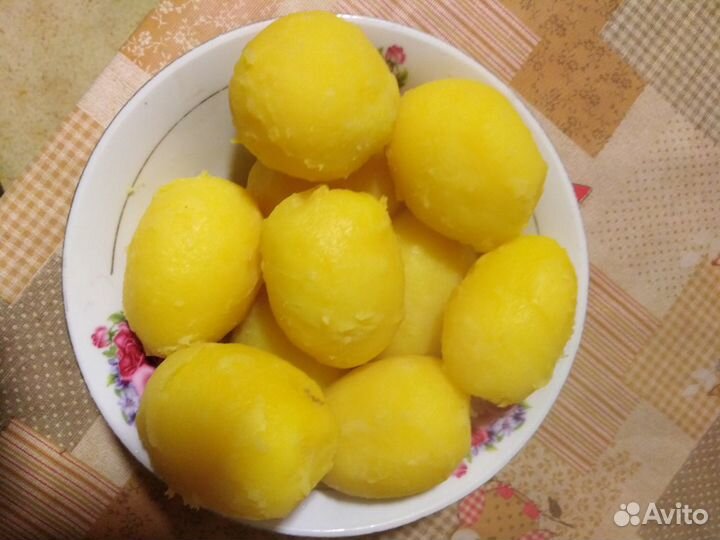 Картофель беллароза, гала, вега на еду,на семена