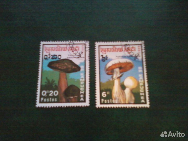 Грибы (1989, Кампучия)