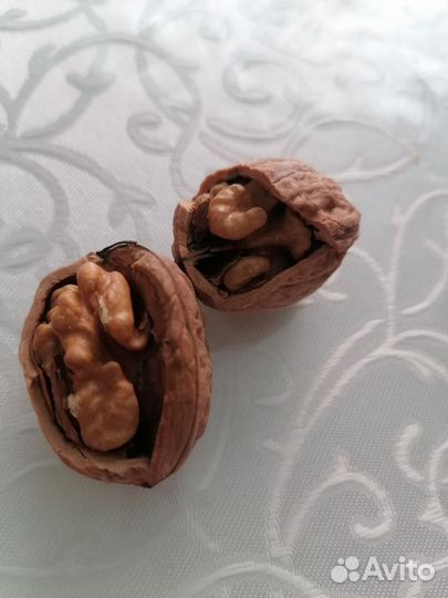 Грецкий орех 2023 года сборки, 2 вида