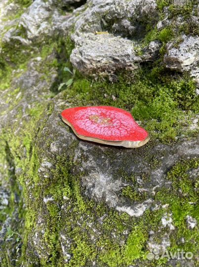 Палитра для маникюра