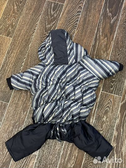 Комбинезон для средней собаки