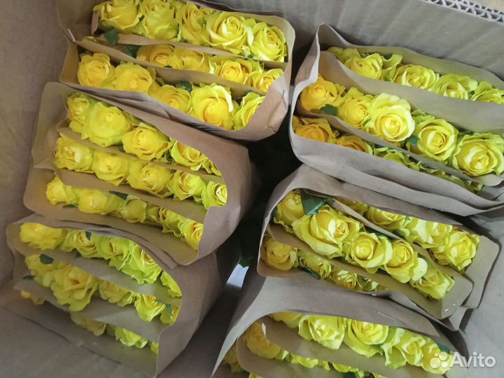 Розы оптом и в розницу