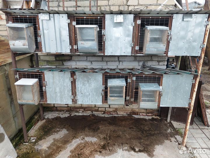 Клетки для кроликов