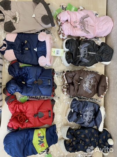 Новая одежда для собак puppy angel размер S