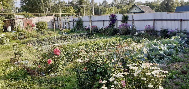 Дом 52,7 м² на участке 16,5 сот.