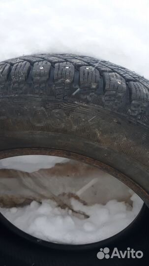 Gislaved Nord Frost 200 195/65 R15