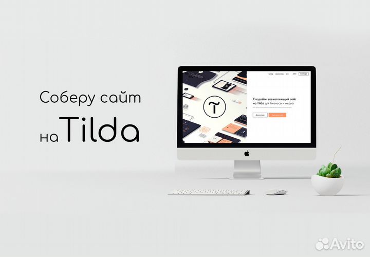 Веб дизайнер