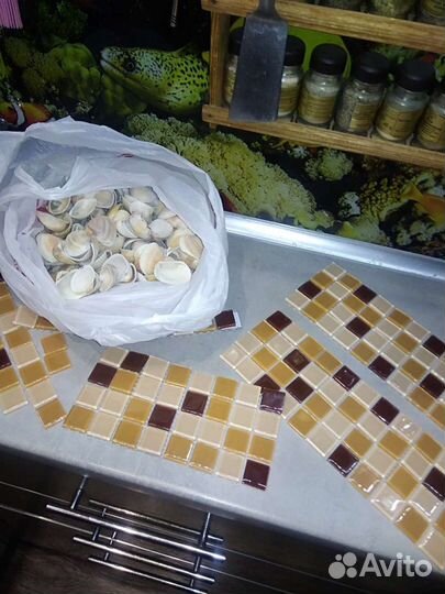 Ракушка Гребешок(скафарка)