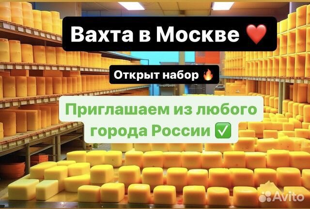 Разнорабочий на производство сыра. (всё включено)