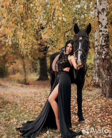 Конные прогулки