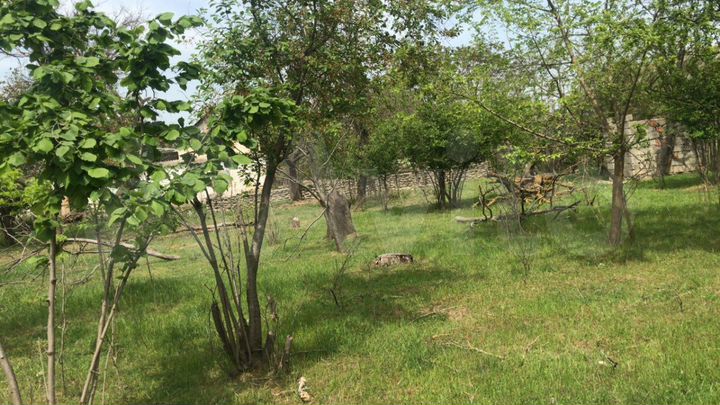 Участок 11 сот. (ИЖС)