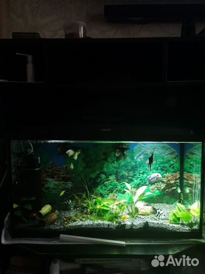 Аквариум, оборудование