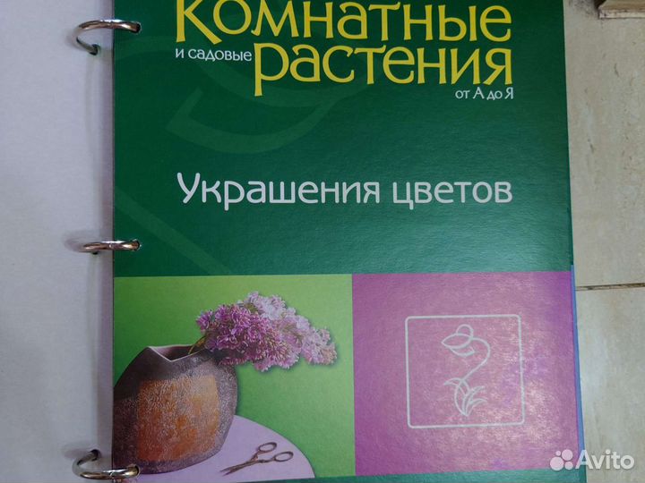 Комнатные растения