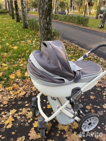 Коляска anex sport 2 в 1
