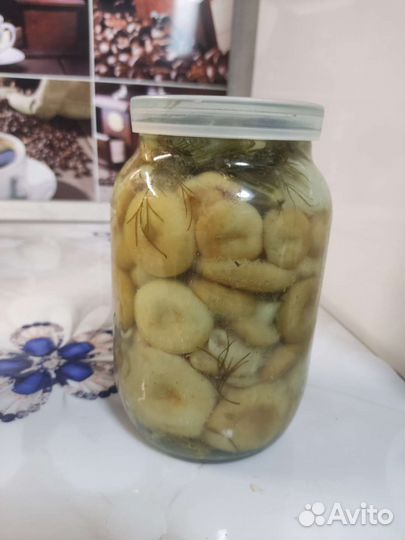 Грибы маринованные и соленые
