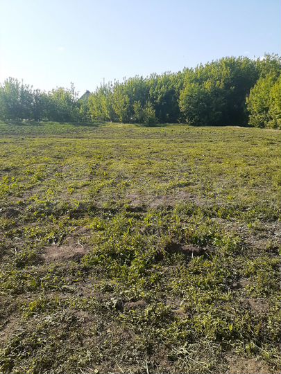 Участок 15 сот. (ИЖС)