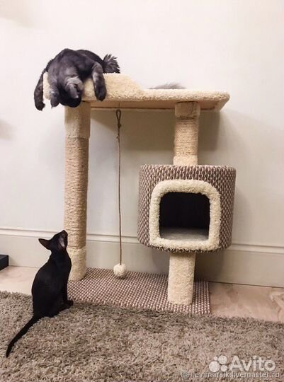 Домик для животных