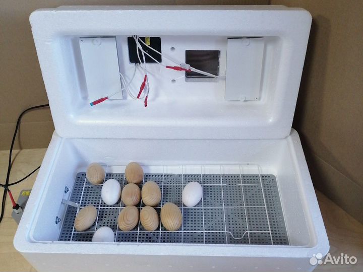 Инкубаторы 