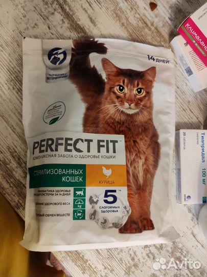 Корм для кошек