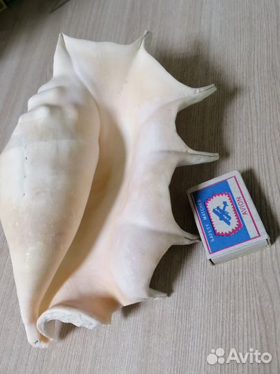 Аквариумы