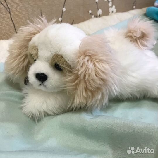 Милая собачка