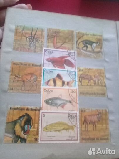 Почтовые марки