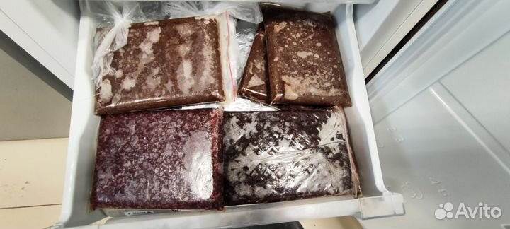 Замороженный корм для аквариумных рыб