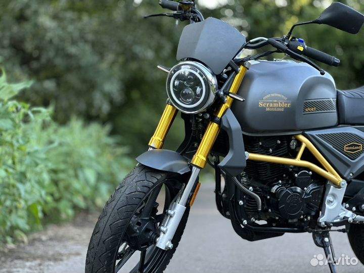 Motoland Scrambler 250