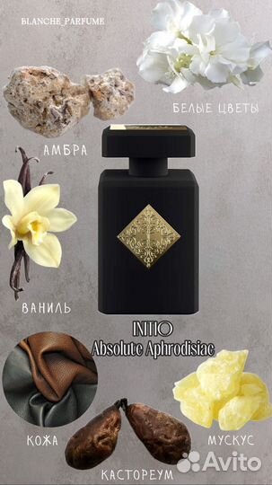 Absolute Aphrodisiac initio