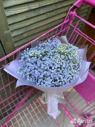 Букет из гипсофилы