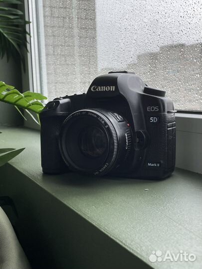 Canon 5d mark ii + 50mm