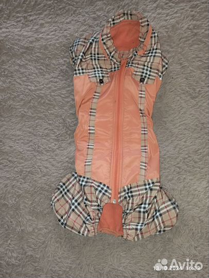 Комбинезон для собак, по спинке 45 сантиметров