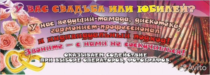 Ведущий-гармонист в одном лице