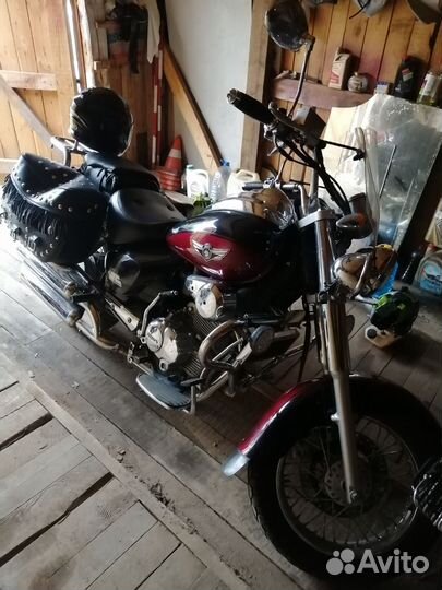 Ирбис гарпия