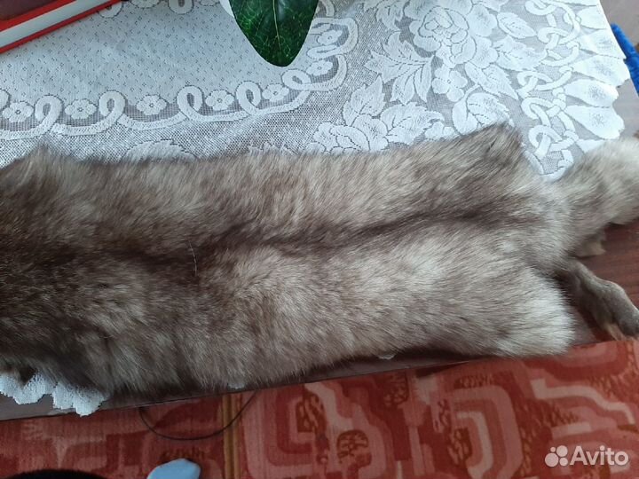 Шкура песца