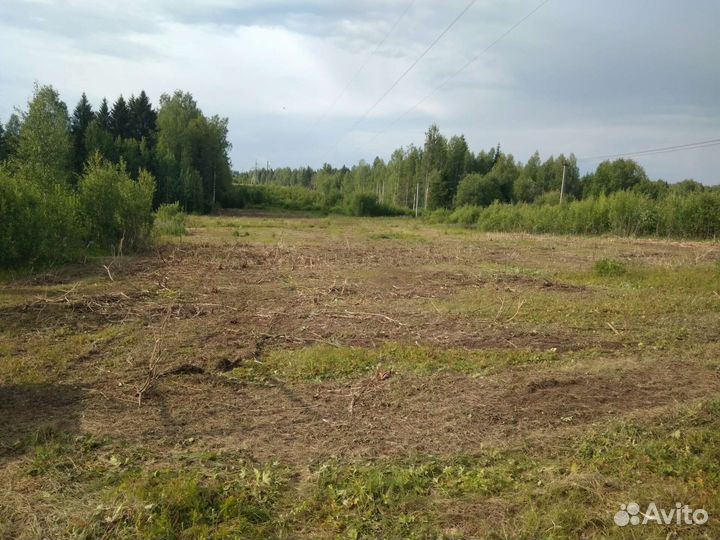Расчистка участка, мульчирование