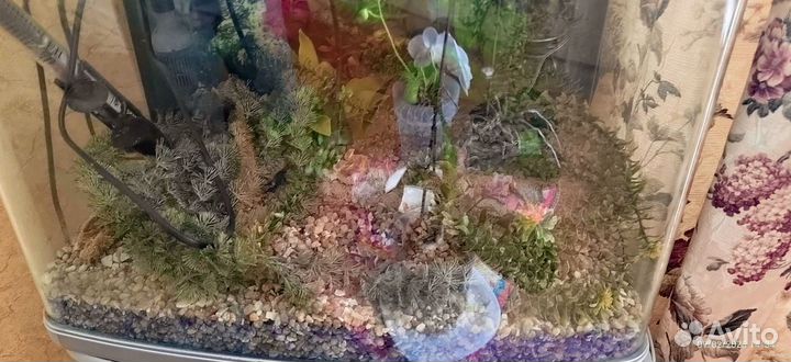 Аквариум с тумбой бу 72 л