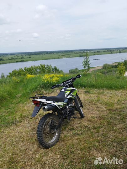 Racer Panther 300